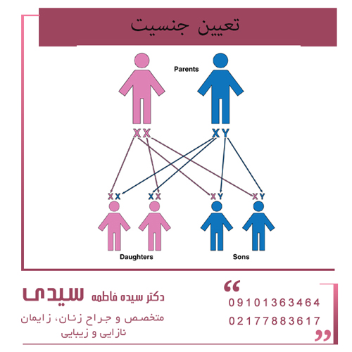 تعیین جنسیت قبل از بارداری