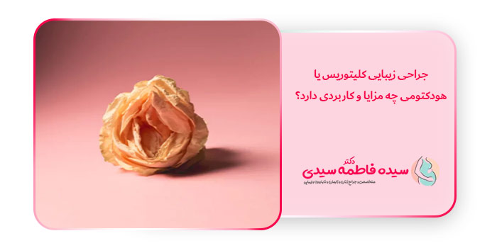 جراحی زیبایی کلیتوریس یا هودکتومی چه مزایا و کاربردی دارد؟